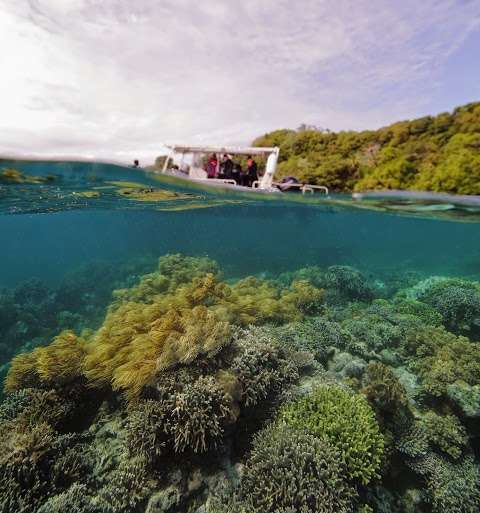 Photo: Shellharbour Scuba Centre