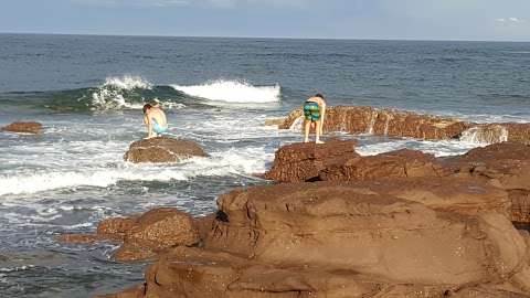 Photo: Shellharbour Swimming Pools